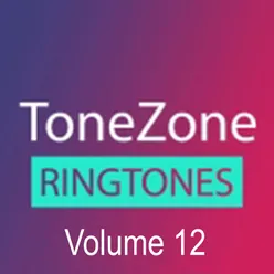 Tonezone, Vol. 12