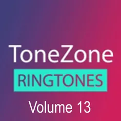 Tonezone, Vol. 13