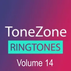 Tonezone, Vol. 14