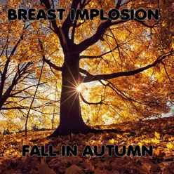 Fall in Autumn