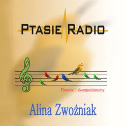 Sprzątanie to fajna zabawa Instrumental