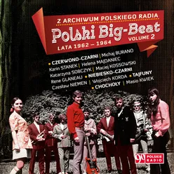 Polski Big Beat, Vol. 2 Lata 1962-1964