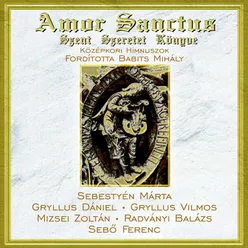 Amor Sanctus Szent Szeretet Könyve