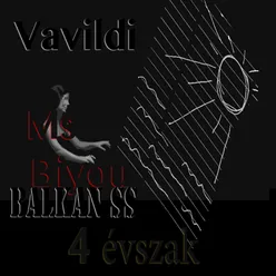 Vavildi 4 Évszak BSS and Ms Biyou