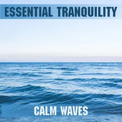 Calm Waves