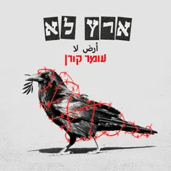 היסטוריה