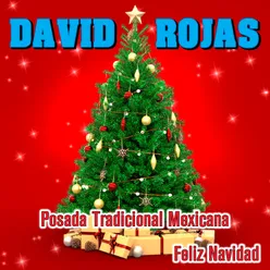 Posada Tradicional Mexicana Feliz Navidad