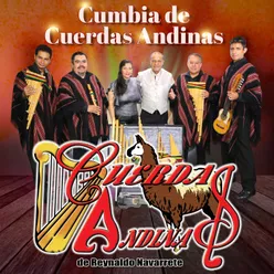 Cumbia de Cuerdas Andinas