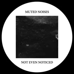Muted Noises