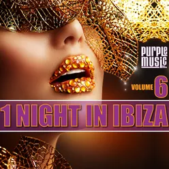 1 Night in Ibiza, Vol. 6
