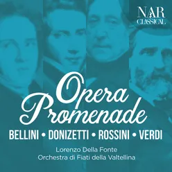 Don Pasquale: "Sinfonia"