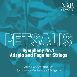 Symphony No. 1: II. Andante semplice