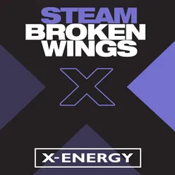 Broken Wings Alternative Mix