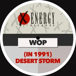 (In 1991) Desert Storm Radio Mix