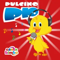 Il pulcino pio