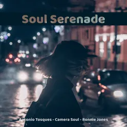 Soul Serenade