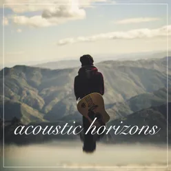 Acoustic horizons