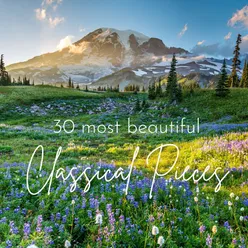 30 Most Beautiful Pieces of Classical Music