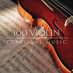 Violin Concerto, Op. 35: I. Allegro moderato - Moderato assai