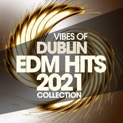 Vibes Of Dublin Edm Hits 2021 Collection