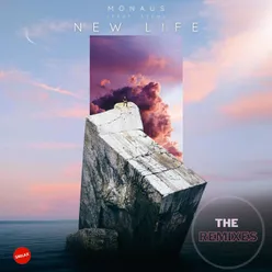 New Life The Remixes