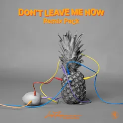 Don't Leave Me Now Remix Pack