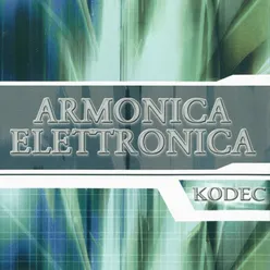 Armonica elettronica Fisarmonica extended