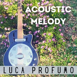 Acoustic Melody