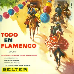 Todo en Flamenco, Vol.3