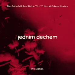 Jedním dechem Live session