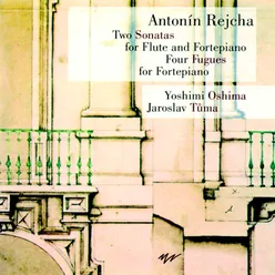 Sonata for Flute and Fortepiano in D Major, Op. 103: III. Finale. Allegro vivace