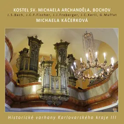 Historical Organ in Bochov