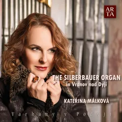 Silberbauer Organ