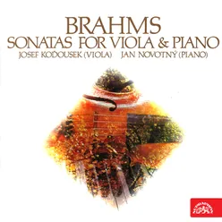 Sonata for Viola and Piano No. 1 in F Minor, Op. 120: IV. Vivace
