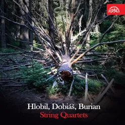 String Quartet No. 3, Op. 88: Ben ritmico, tempo allegro