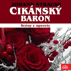 Strauss: Cikánský baron. Scény z operety