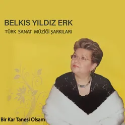 Ben Yaşlı Bir Çınar