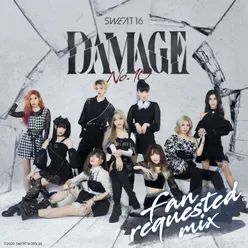 Damage No.10 Fan Requested Mix