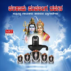 Om Namah Shivaya Vaidyeshwaraya