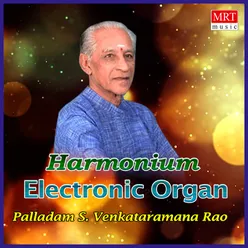 Electronic Organ Instrumental