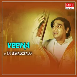 Veena Instrumental