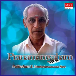 Pranamaamyaham Instrumental