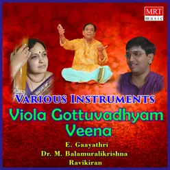 Viola Gottuvadhyam Veena Instrumental