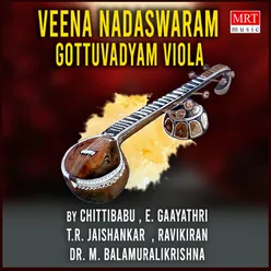 Veena Nadaswaram Gottuvadyam Viola