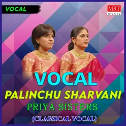 Palinchu Sharvani