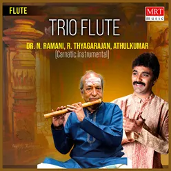 Trio Flute Instrumental