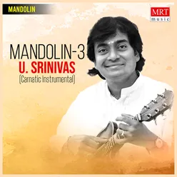 Mandolin - 3 Instrumental