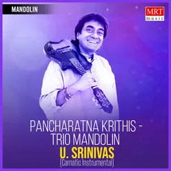 Pancharatna Krithis Trio Mandolin