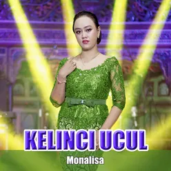 Kelinci Ucul