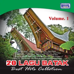 Best Hits Collections, Vol. 1